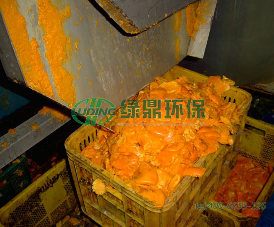 橙子壓榨機(jī)